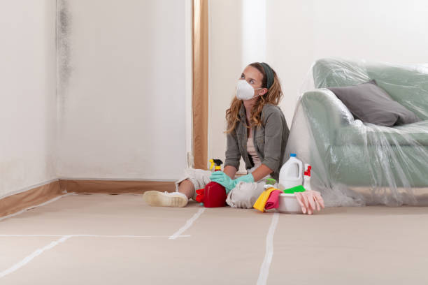 Reliable Mold Removal contractor in Sherborn, MA by WQB Mold Removal